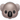 koala.png